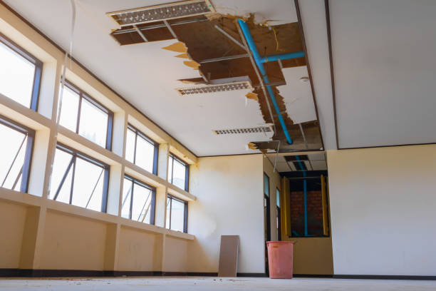 Best Ceiling and Wall Water Damage Repair in Wilton, IA