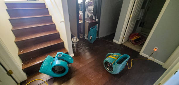 Best Plumbing Leak and Burst Pipe Cleanup in Wilton, IA