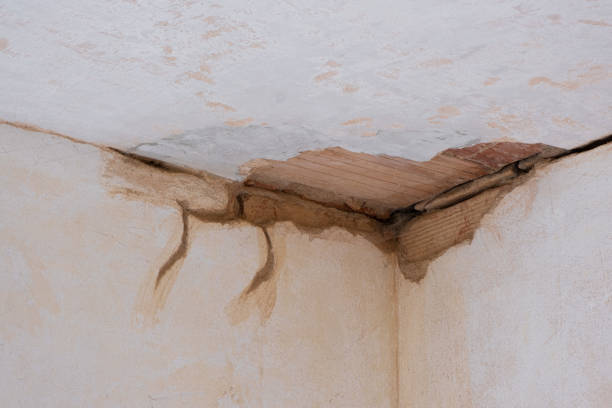 Best Carpet and Upholstery Water Damage Restoration in Wilton, IA