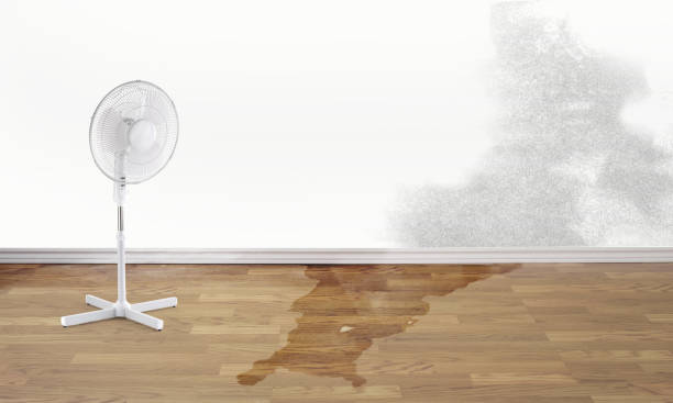 Wilton, IA Water damage restoration Company